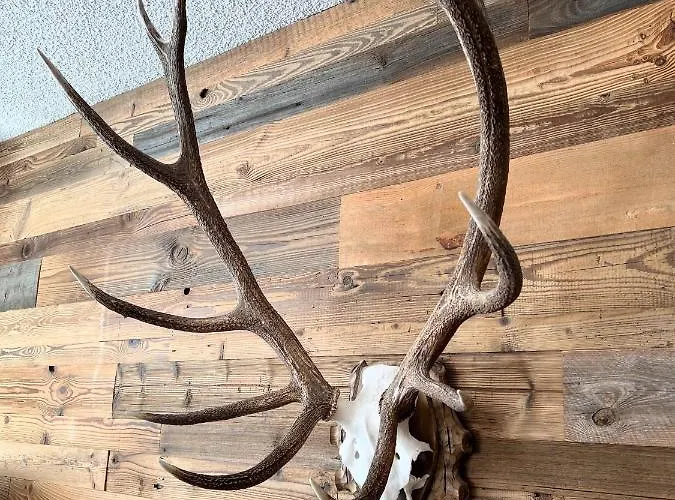 Apartamento Casa Tschierva Davos